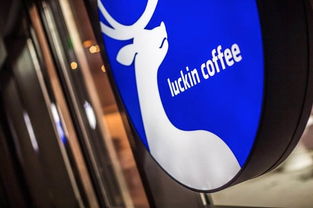 蔚來汽車任命新CFO與摩拜單車調(diào)價(jià) 兩家出行巨頭的戰(zhàn)略調(diào)整